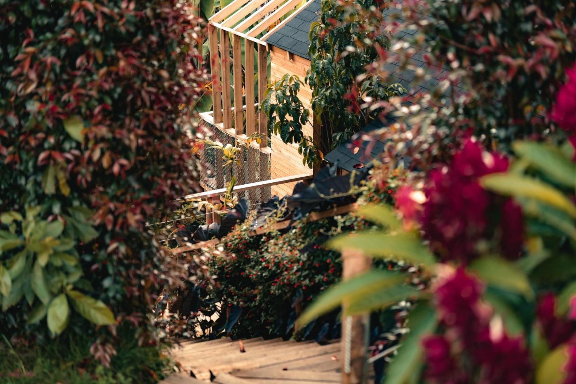 Teva Glamping & Retreat Hotel Rionegro Exterior foto
